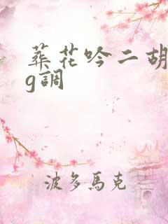 葬花吟二胡独奏g调