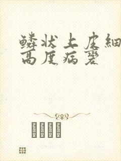 鳞状上皮细胞内高度病变