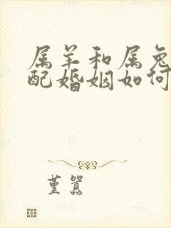 属羊和属兔的相配婚姻如何