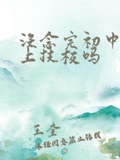 没念完初中可以上技校吗