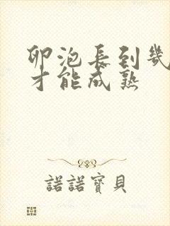 卵泡长到几乘几才能成熟