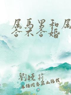 属马男和属兔女合不合婚