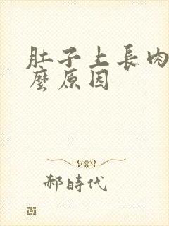 肚子上长肉是什么原因