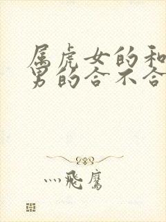 属虎女的和属兔男的合不合婚