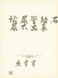 输尿管结石堵塞尿不出来