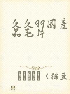 久久99国产精品毛片