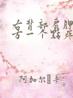 右背部肩胛骨下方一个点疼痛