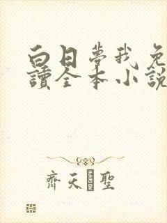 白日梦我免费阅读全本小说