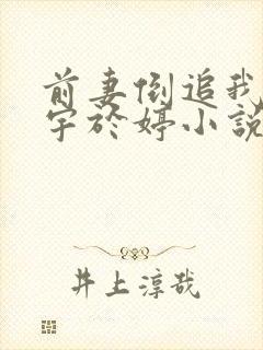 前妻倒追我宋恒宇于婷小说