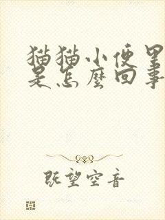 猫猫小便里有血是怎么回事呢