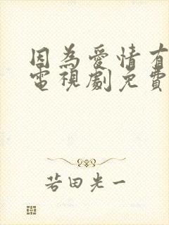 因为爱情有幸福电视剧免费观看全集