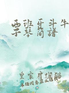 西班牙斗牛曲电子琴简谱