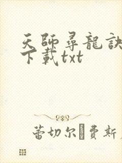天师寻龙诀免费下载txt