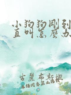 小狗狗刚到家一直叫怎么办