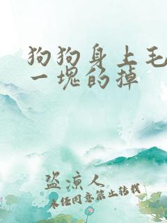 狗狗身上毛一块一块的掉