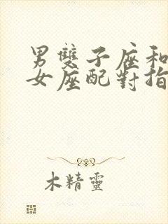 男双子座和女处女座配对指数