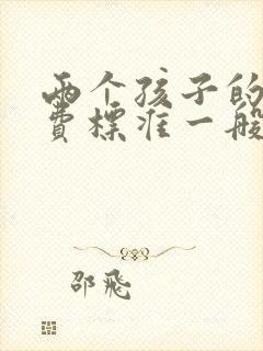 两个孩子的抚养费标准一般是多少钱一个月