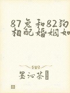 87兔和82狗相配婚姻如何
