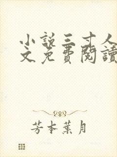 小说三寸人间全文免费阅读免费