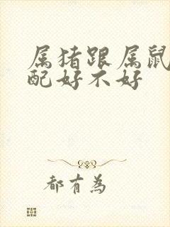 属猪跟属鼠的婚配好不好