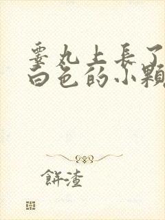 睾丸上长了一个白色的小颗粒