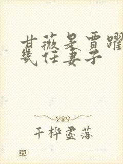 甘薇是贾跃亭第几任妻子