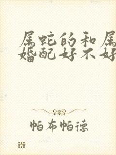 属蛇的和属狗的婚配好不好