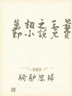 万相之王最新章节小说免费阅读