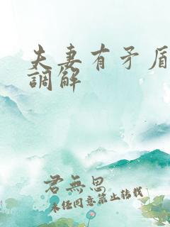 夫妻有矛盾找谁调解