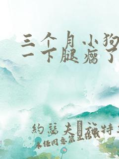 三个月小狗摔了一下腿瘸了咋办