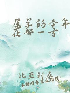 属羊的今年财运在哪一方