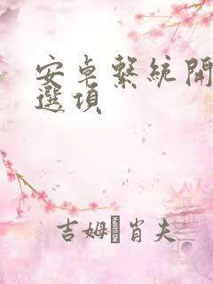 安卓系统开发者选项