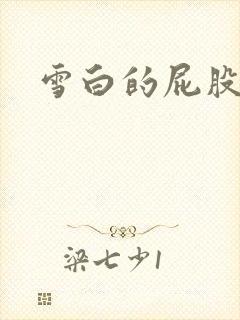 雪白的屁股小说