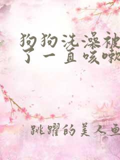 狗狗洗澡被呛到了一直咳嗽怎么办