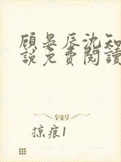 顾晏辰沈知意小说免费阅读最新章节列表