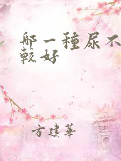 哪一种尿不湿比较好