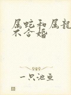 属蛇和属龙的合不合婚