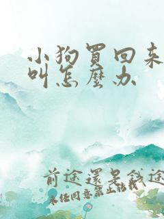 小狗买回来一直叫怎么办