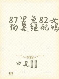 87男兔82女狗是绝配吗
