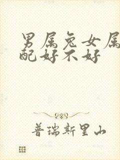 男属兔女属龙婚配好不好