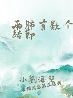 两肺有数个微小结节