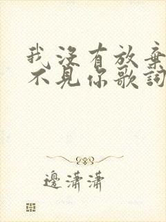 我没有放弃只是不见你歌词是什么意思