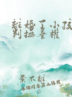 离婚了小孩怎么判抚养权