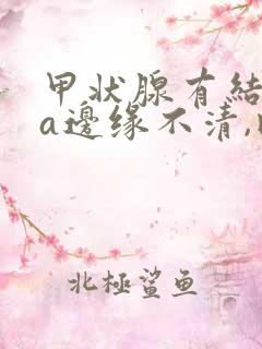 甲状腺有结节4a边缘不清,内部点状强回声