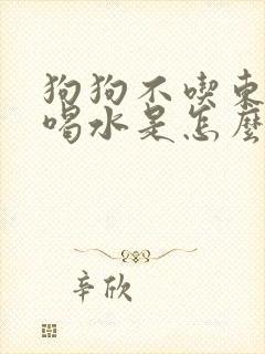 狗狗不吃东西只喝水是怎么回事