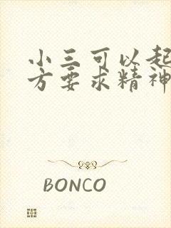 小三可以起诉男方要求精神损害赔偿