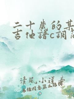 二十岁的某一天吉他谱c调简单版