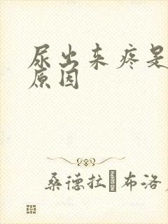 尿出来疼是什么原因