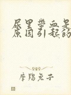 尿里带血是什么原因引起的