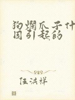 狗烂爪子什么原因引起的